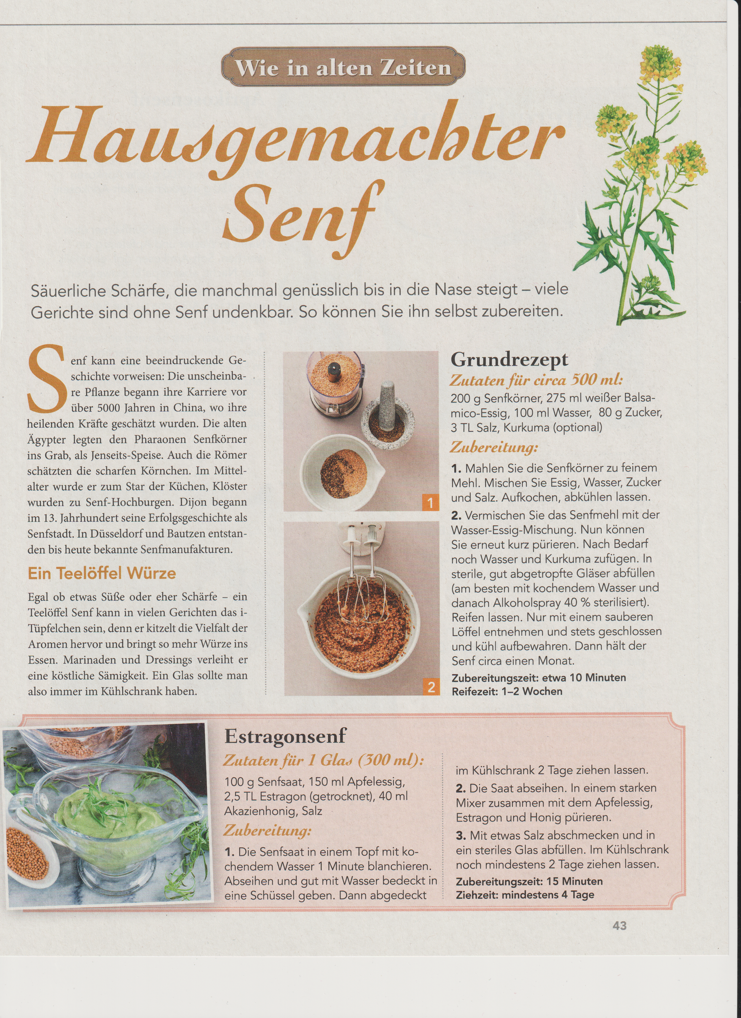 scan result page_000.png